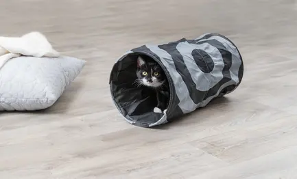 Тунель Trixie для котів ігровий, текстиль, 25х50 см: додаткове фото 4