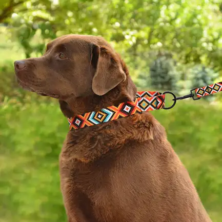 Нашийник для Собак Мартінґейл BronzeDog Urban Гуцульський Нейлоновий з Металевою Фурнітурою Помаранчевий M: додаткове фото 4