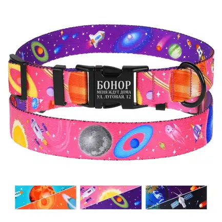 Нашийник для собак BronzeDog Urban Cosmos нейлоновий з металевою пряжкою Рожевий S: додаткове фото 4