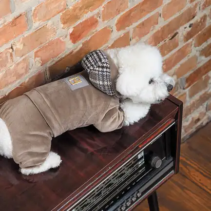 Костюм Pet Fashion «Soft» для собак, розмір M, коричневий (лімітована серія): додаткове фото 6