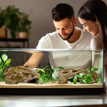 Декорація укриття Terrario Dragon Stone M 22x15x8см (23149): додаткове фото 7