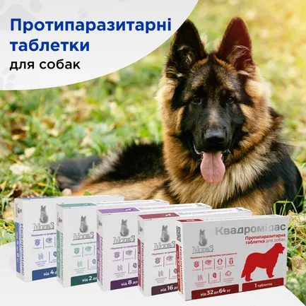 Квадромідас протипаразитарні таблетки для собак 8-16 кг, 0,8 г, MODES (від бліх, від кліщів, від гельмінтів): додаткове фото 2