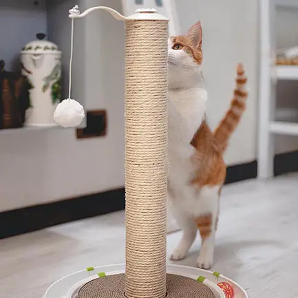 Ferplast MAGIC TOWER Іграшка-трек для котів: додаткове фото 5