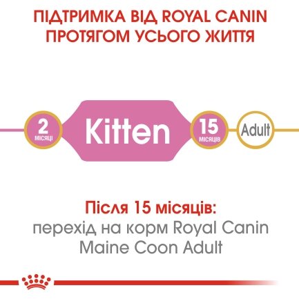 Сухий корм Royal Canin MAINECOON KITTEN для кошенят породи Мейн-кун 2 кг — Фото 3