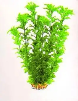 Aquatic Plants (Акватик Плэнтс) Акваріумна рослина, 29 см х 6 шт/уп.