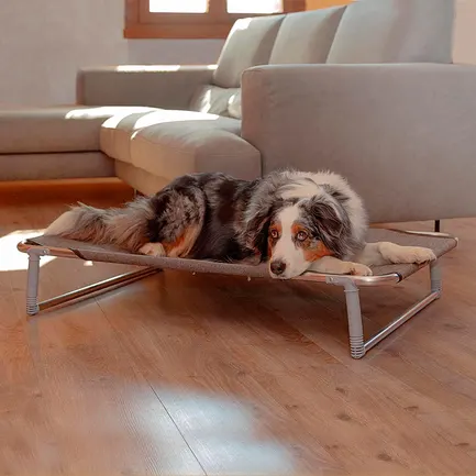 Ferplast DOG BED DREAM 100 Розкладачка металева — Фото 2