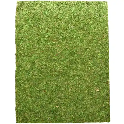 Фон моховий Repti-Zoo Natural Moss Back & Bottom 50x25см 2шт. (NCM5025)
