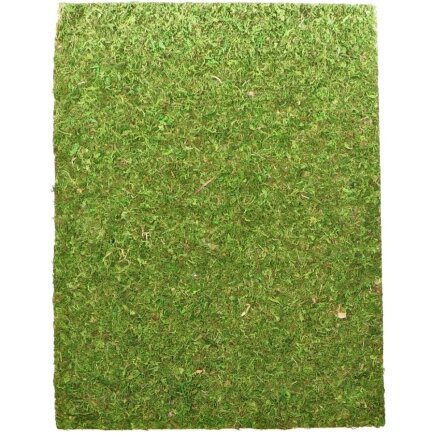 Фон моховий Repti-Zoo Natural Moss Back &amp; Bottom 50x25см 2шт. (NCM5025)