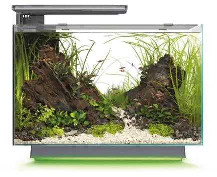 Акваріум скляний - Superfish Quadro 70 Multi Colour BLACK (A4052235)