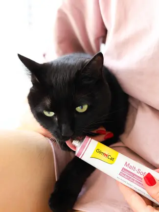 Паста GimCat Every Day Malt-Soft Paste Extra для котів, виведення шерсті зі шлунку, 200 г: додаткове фото 6