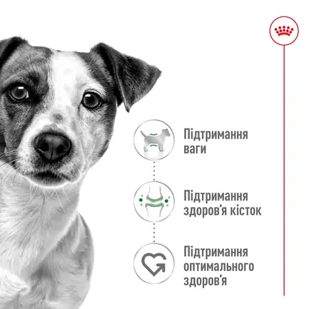 Вологий корм Royal Canin MINI ADULT для дорослих собак всіх порід 85 г: додаткове фото 4