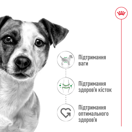 Вологий корм Royal Canin MINI ADULT для дорослих собак всіх порід 85 г — Фото 3