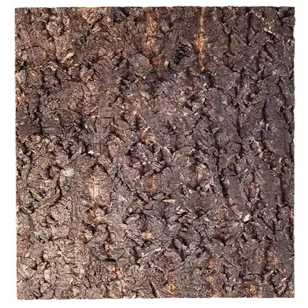 Фон з кори для тераріуму Repti-Zoo Big Tree Background 30х30 (NCT10)