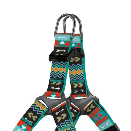 Шлея для Собак дрібних порід BronzeDog Urban Нейлонова Ацтеки XS: додаткове фото 2