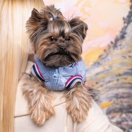 Бомбер Pet Fashion «Spike» для собак, розмір L, блакитний — Фото 3