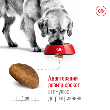 Сухий корм Royal Canin MAXI ADULT для дорослих собак великих порід 15 кг — Фото 3