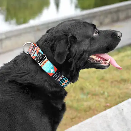 Нашийник для Собак Мартінґейл BronzeDog Urban Нейлоновий з Металевою Фурнітурою Ацтеки M: додаткове фото 6