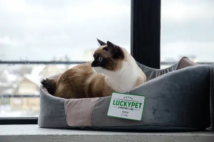 Лежак Мішель №2 Сірий Lucky Pet, 37x49x23: додаткове фото 2