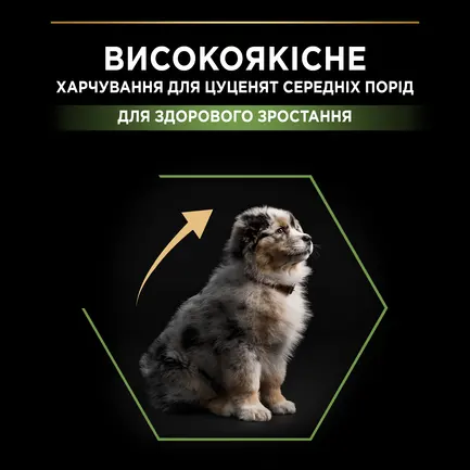 Сухий корм PRO PLAN Medium Adult 1+ Sensitive Digestion для дорослих собак середніх порід з чутливим травленням з ягням 18 кг: додаткове фото 4