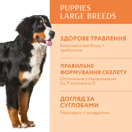 OPTIMEAL™. Повнораціонний сухий корм для цуценят великих порід – індичка, 12 кг: додаткове фото 2