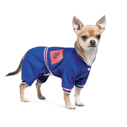 Дощовик Pet Fashion «Silver» для собак, розмір L, синій: додаткове фото 2