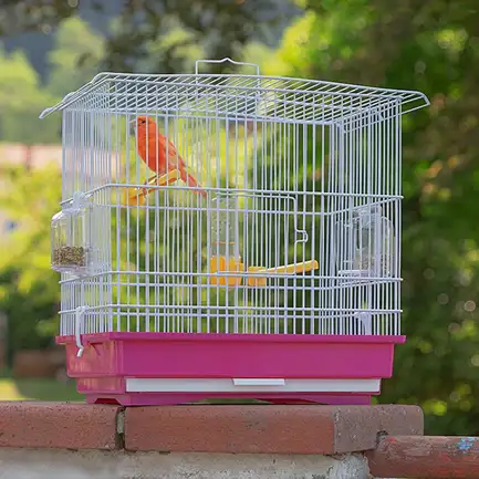 Ferplast CAGE GUISY Клітка для папуг: додаткове фото 3