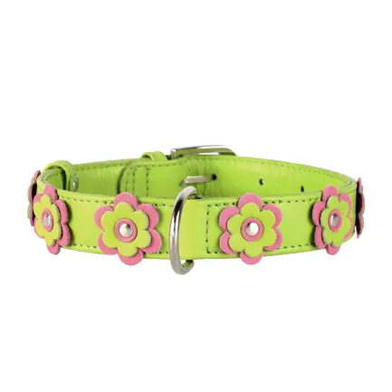 Нашийник "CoLLaR GLAMOUR" з оздобленням "Аплікація" (ширина 25мм, довжина 38-49см) салатовий: додаткове фото 2