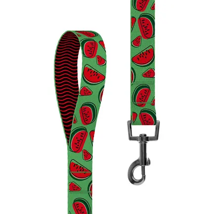Повідець для Собак BronzeDog Urban Fruits Нейлоновий Кавун M: додаткове фото 2