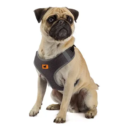 Ferplast NIKITA P XXS HARNESS Шлея, нейлон: додаткове фото 4