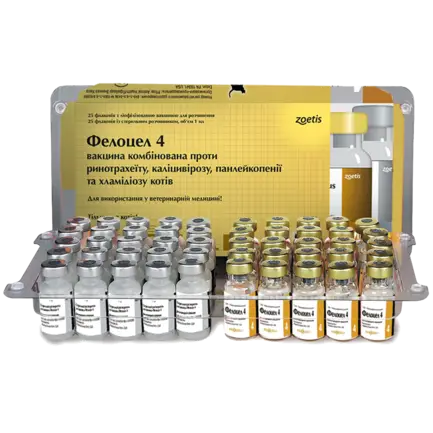 Фелоцел 4
