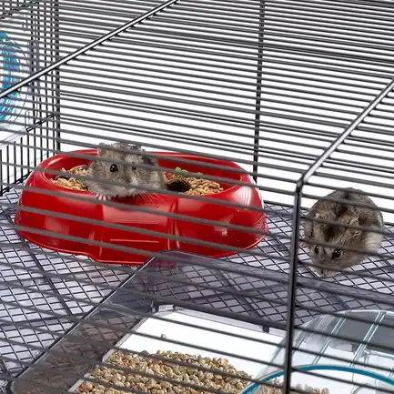 Ferplast CAGE FAVOLA Клітка для гризунів чорна: додаткове фото 7