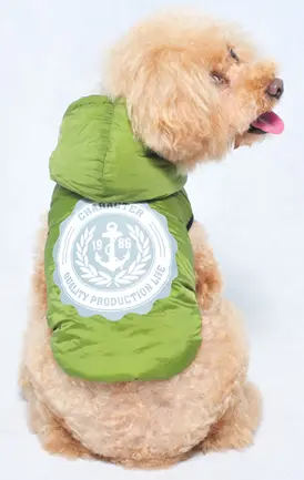 Куртка Ruis-Pet Convertible для собаки, зелена, XS