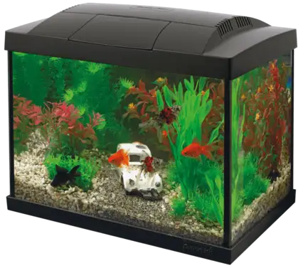 Акваріумний стартовий набір SuperFish Start 20 Aquarium Kit Black (A4050267)