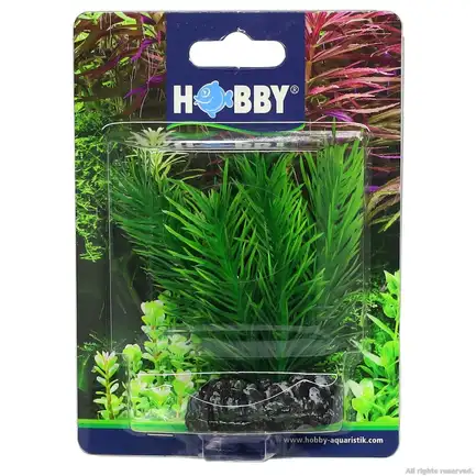 Штучна рослина Hobby Mayaca 7см (51584): додаткове фото 2