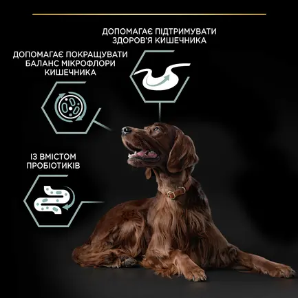 Сухий корм PRO PLAN Large Athletic Adult 2+ Sensitive Digestion для дорослих собак великих порід атлетичної статури з чутливим травленням з ягням 14 кг: додаткове фото 6