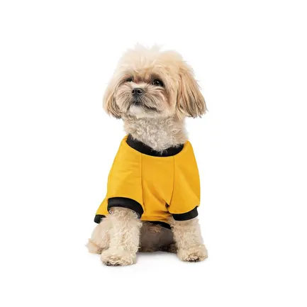 Футболка Pet Fashion Jessica для собак бавовна трикотаж жовта M: додаткове фото 3