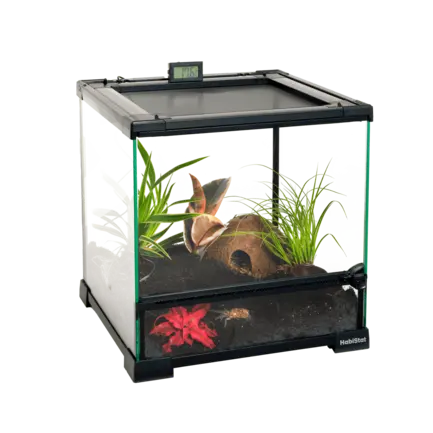 Тераріум HABISTAT GLASS TERRARIUM 30 X 30 X 32CM BUILT (R1100055): додаткове фото 4