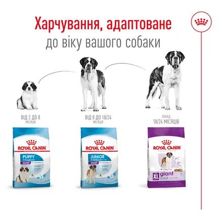 Сухий корм Royal Canin GIANT ADULT для дорослих собак гігантських порід 4 кг: додаткове фото 3