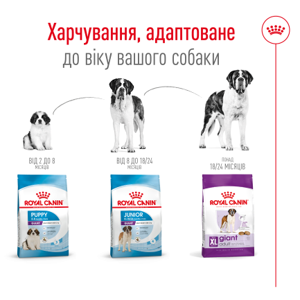 Сухий корм Royal Canin GIANT ADULT для дорослих собак гігантських порід 15 кг — Фото 2