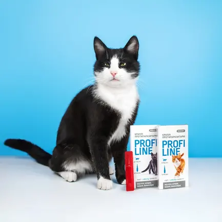 Краплі Provet Profiline для котів 4-8 кг, 4 піпетки по 1,0 мл (інсектоакарицид): додаткове фото 5