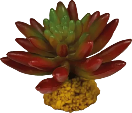 REPTO PLANT SUCCULENT RED (R5100550) Штучна рослина для тераріума