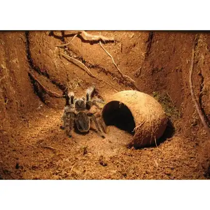 Підкладка з кокосового волокна Repti-Zoo Coconut fiber Substrate 8л (SB650): додаткове фото 6