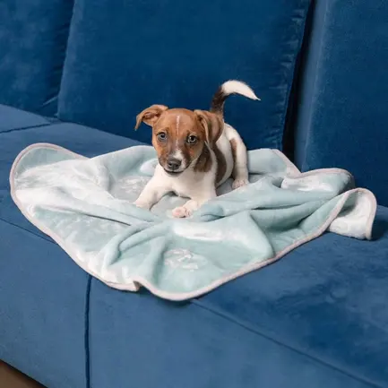 Плед Pet Fashion «Bliss» для собак та цуценят, 77х100 см, м'ята: додаткове фото 6