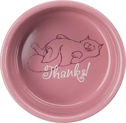 Миска Trixie Thanks for Service для котів, керамічна, 11 см, 300 мл: додаткове фото 4