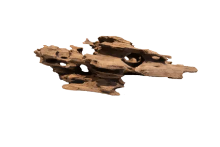 Дерево зі стільниками HONEYCOMB WOOD SMALL (A4080360)