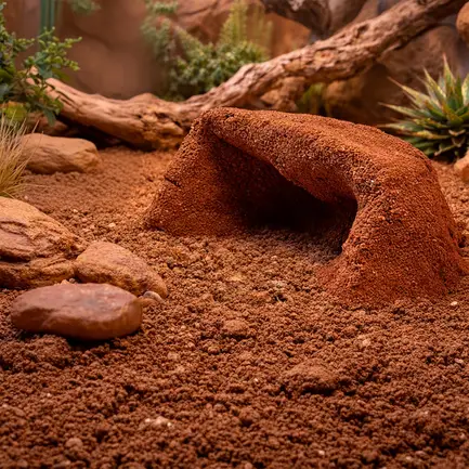 Глиняний порошок для тераріумного субстрату Hobby Terrano Clay Powder Red 1,3 кг (33210): додаткове фото 8