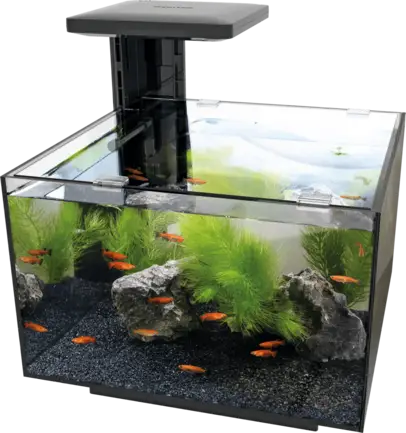 Акваріумний набір SuperFish SF QUBIQ 20 BLACK (A4050889): додаткове фото 3
