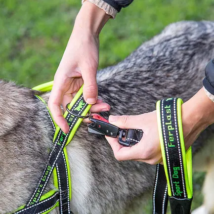 Ferplast SPORT DOG P L YELLOW Шлея, нейлон: додаткове фото 5