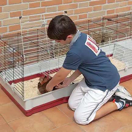 Ferplast CAGE KROLIK 160 Клітка для кролів, пластик+метал: додаткове фото 3