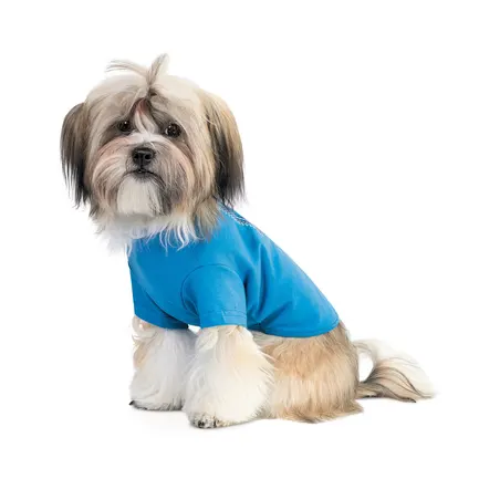 Футболка Pet Fashion «Ivanko» для собак, розмір S2, синя: додаткове фото 2